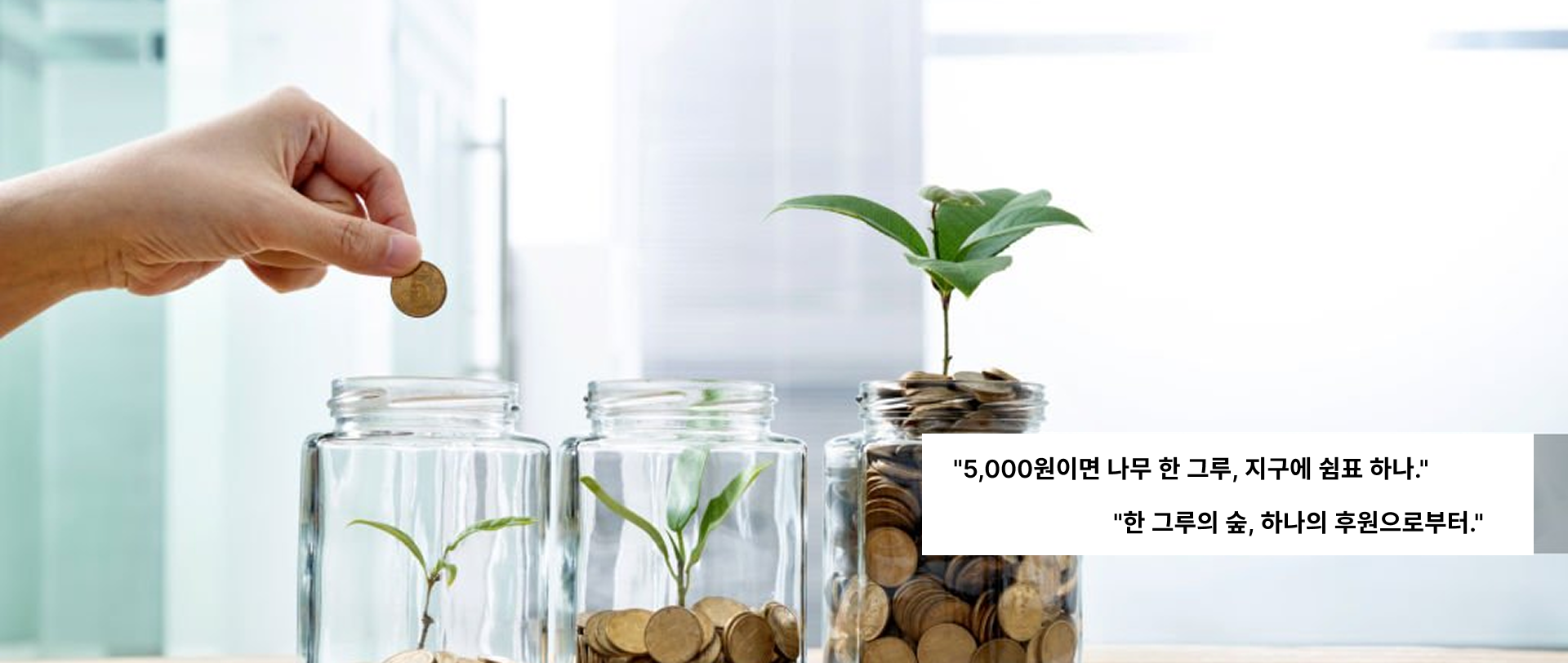 배너2